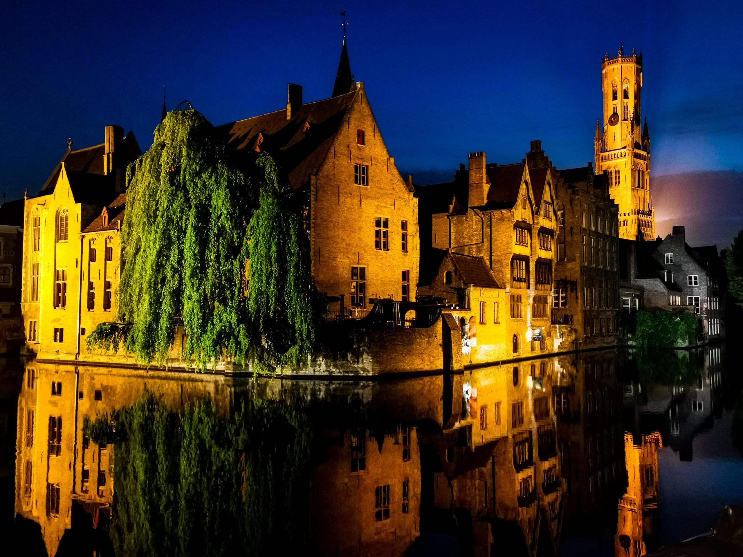Canaux de Bruges de nuit voyager avec son chien Roadtrip : France Belgique Pays-Bas