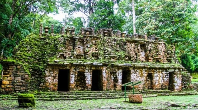 Ruines Mexique dans la jungle à Chiapas